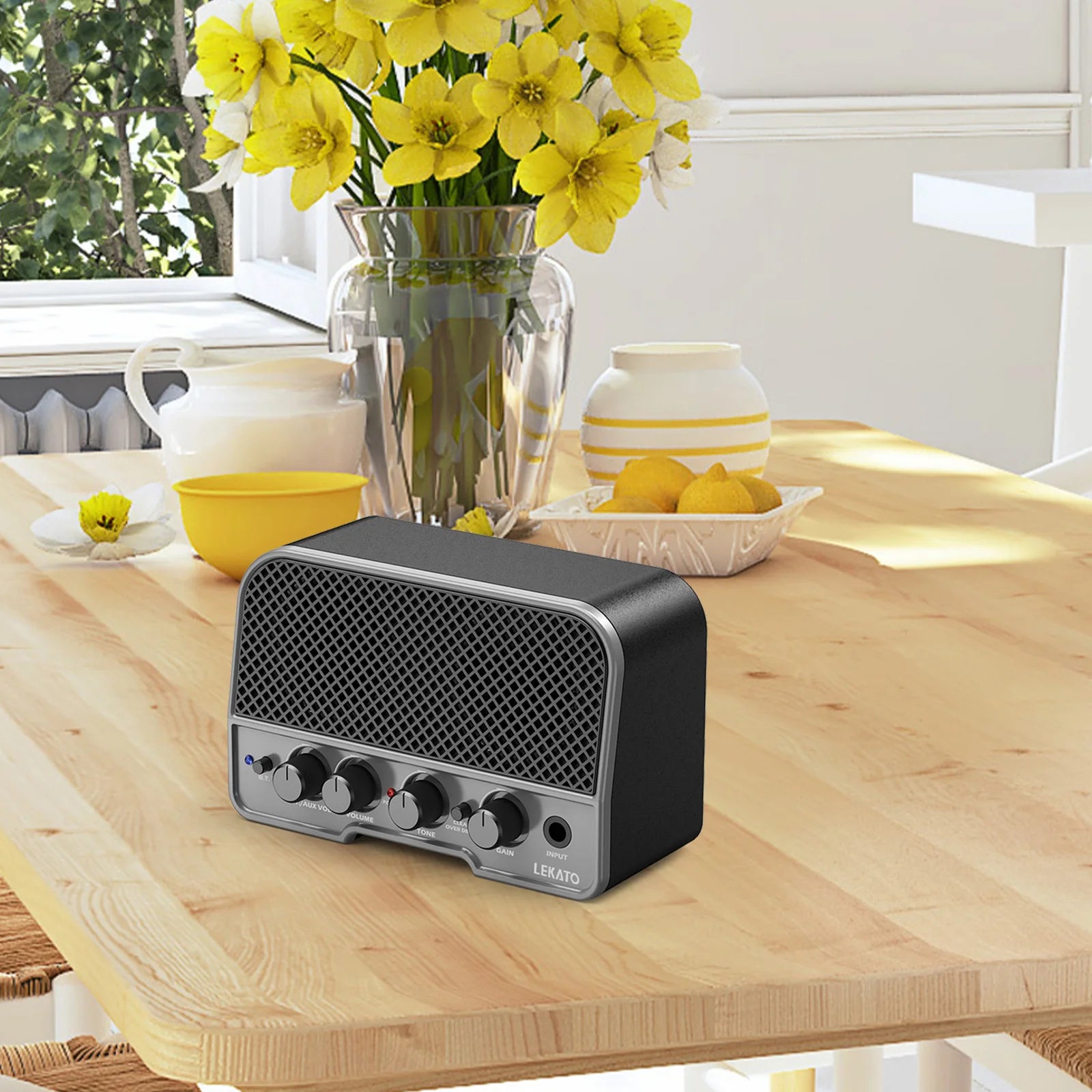 LEKATO 5W Mini Acoustic Guitar Amplifier - Your Guitar Buddy