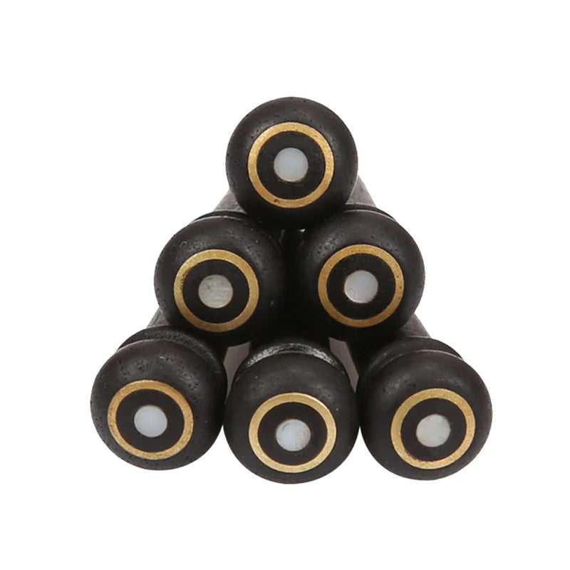 6pcs Real Bone Acoustic Guitar Bridge Pins - Your Guitar Buddy
